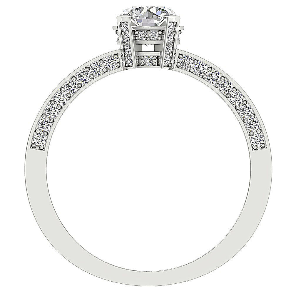 FrontViewNaturalDiamondRingProngSet